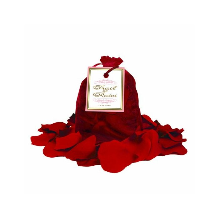 Trail of red roses petals