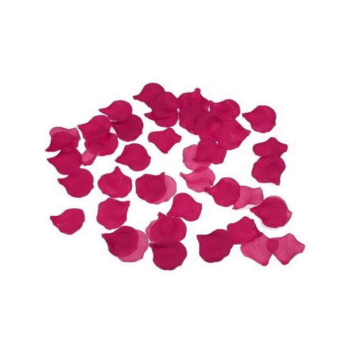 Glamorous Fuchsia Petals