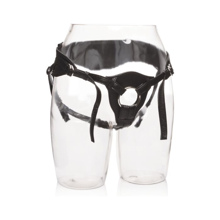 The queen - black basic harness