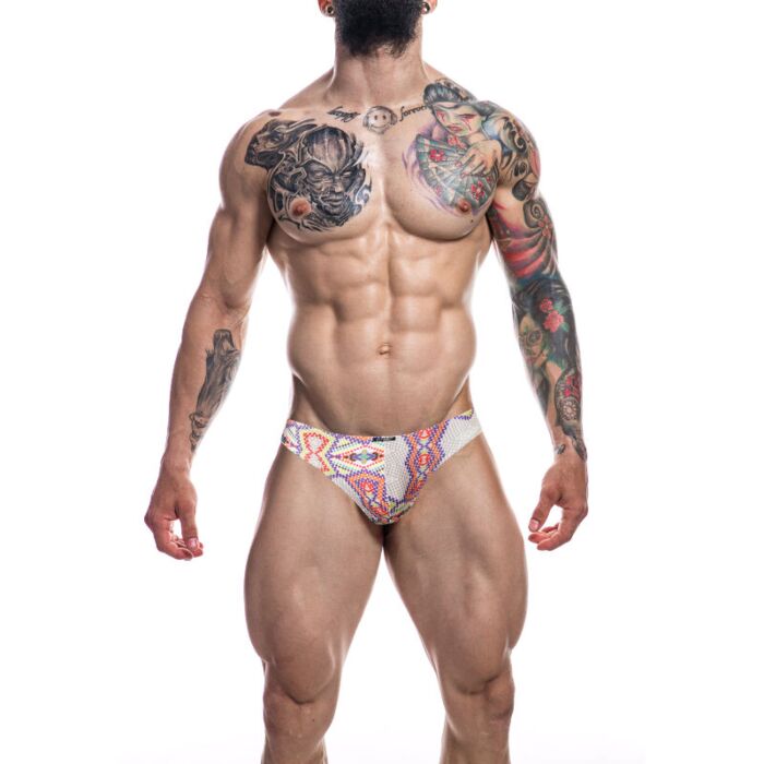 Aztec Low Rise Briefs