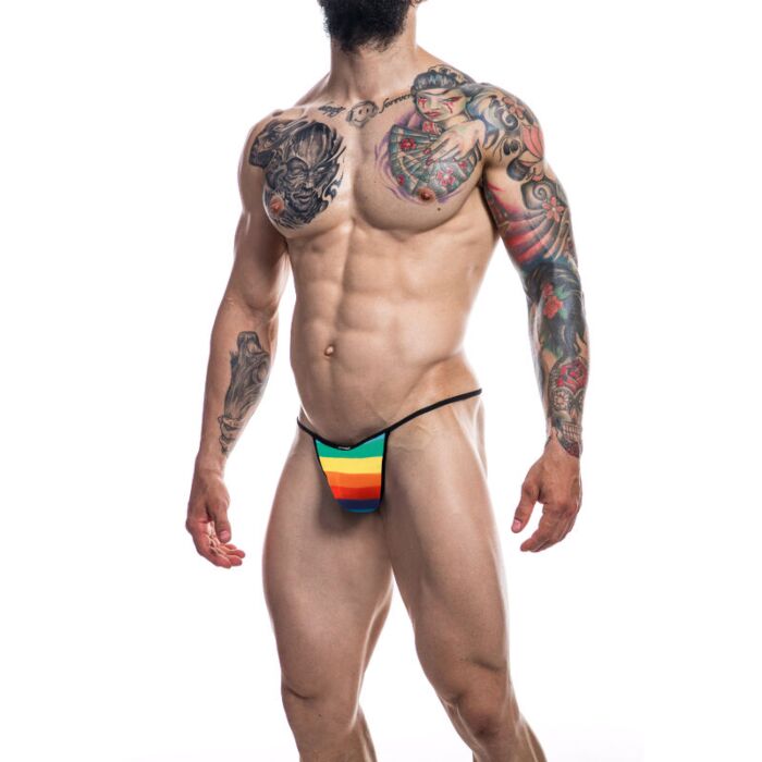 Rainbow XL Bikini
