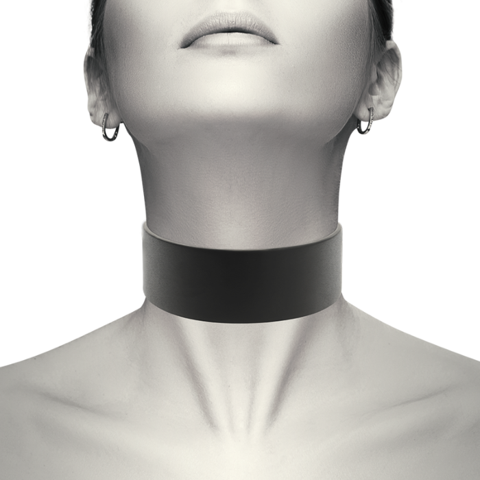 Vegan Coquette Chic Choker