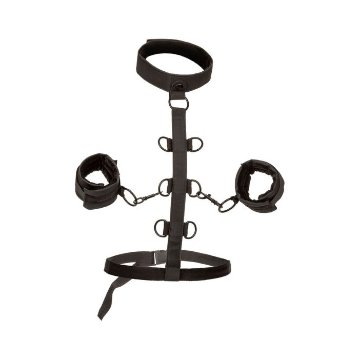 Boundless Restraint Harness