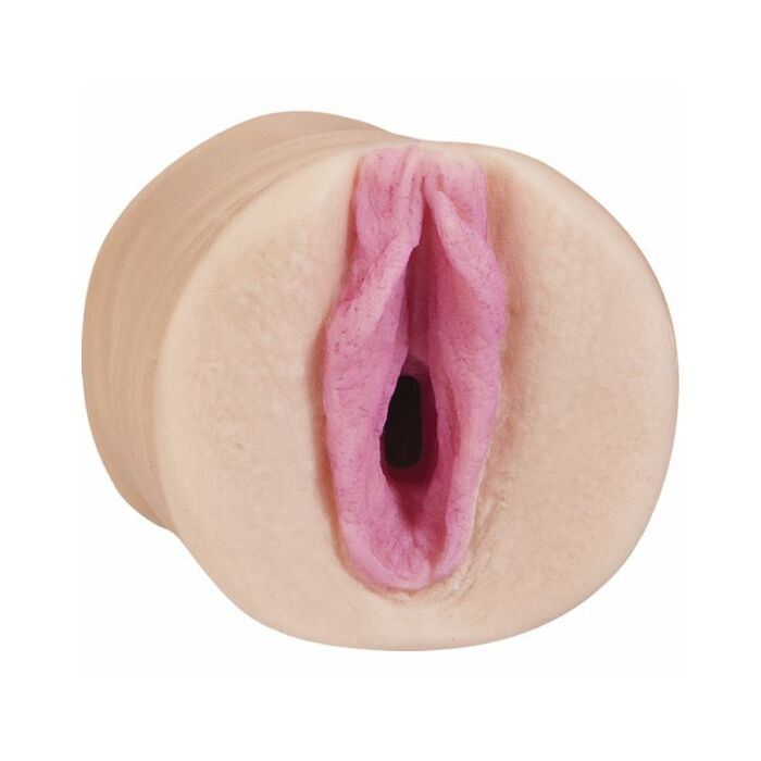 All star mini porn stars pussy faye reagan