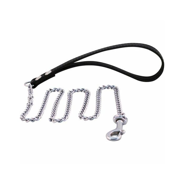 Mister b puppy leash chain