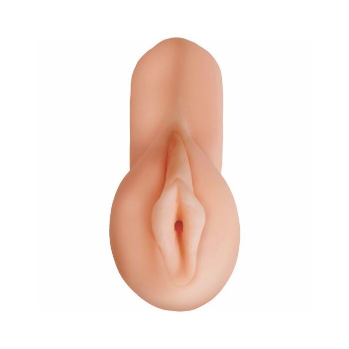 Seductive Brotherhood