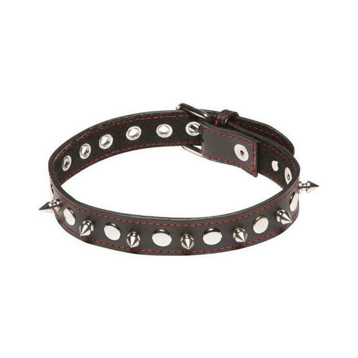 X-play collar with spikes