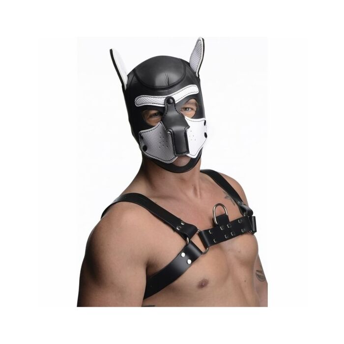 Neoprene spike puppy hood - black and white