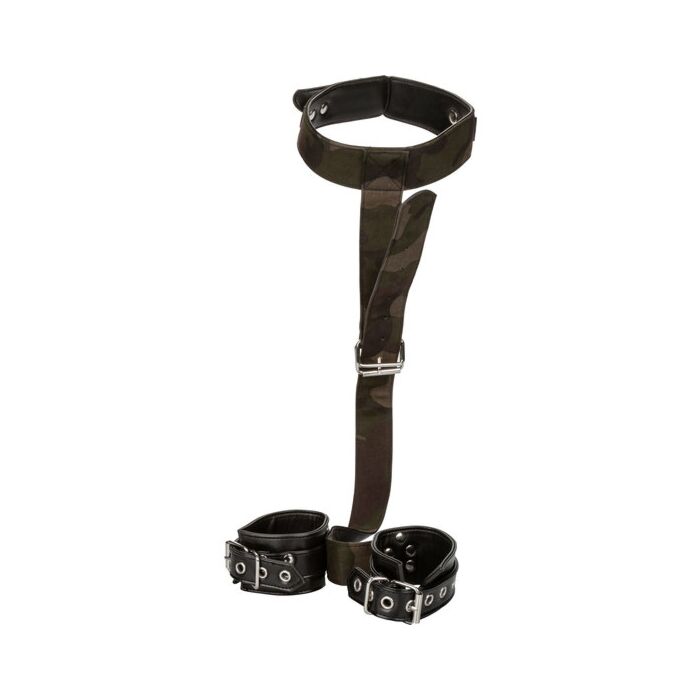 Colt camo collar and handcuffs