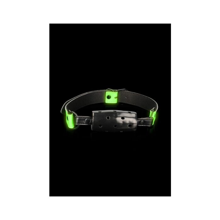 Ouch! Glow in the Dark Cylinder Gag | Sex Shop