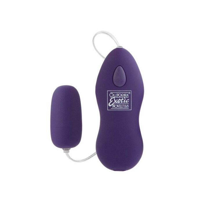 Body and soul passion purple vibrator egg