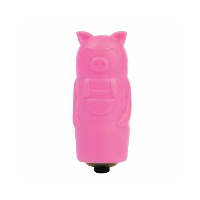 Enjoyable vibrating bullet with slender pink piggy case