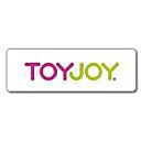 TOYJOY